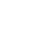 Road Cone